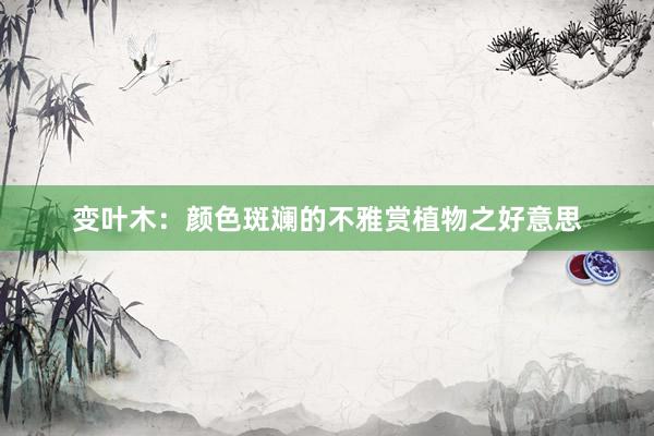 变叶木:颜色斑斓的不雅赏植物之好意思
