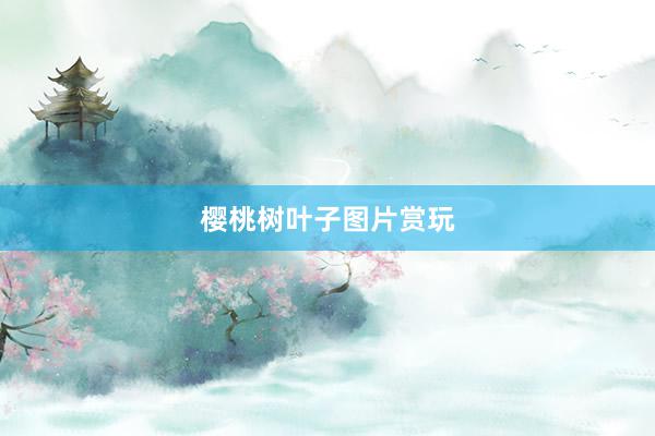 樱桃树叶子图片赏玩