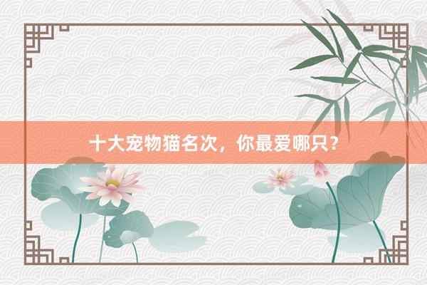 十大宠物猫名次，你最爱哪只？